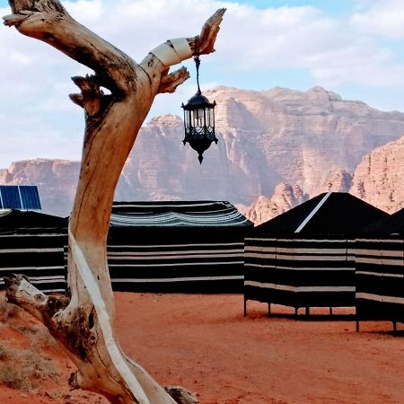 Desert Tree Camp&Tours ワディ ・ラム エクステリア 写真