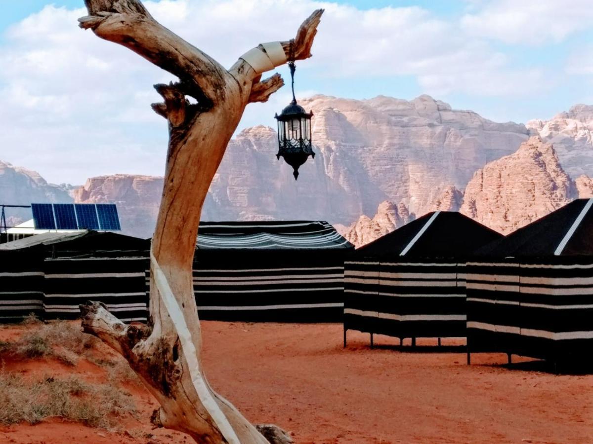 Desert Tree Camp&Tours ワディ ・ラム エクステリア 写真
