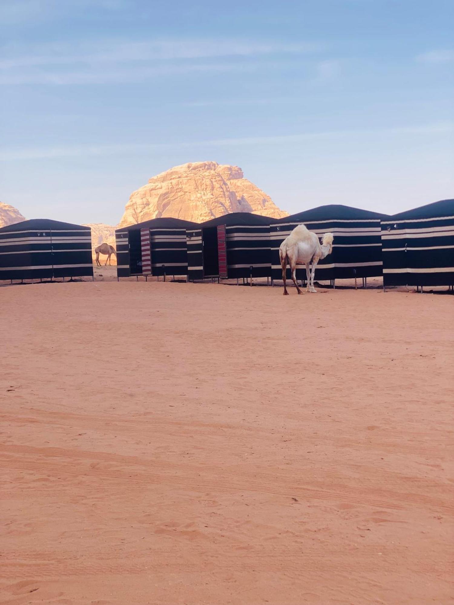 Desert Tree Camp&Tours ワディ ・ラム エクステリア 写真